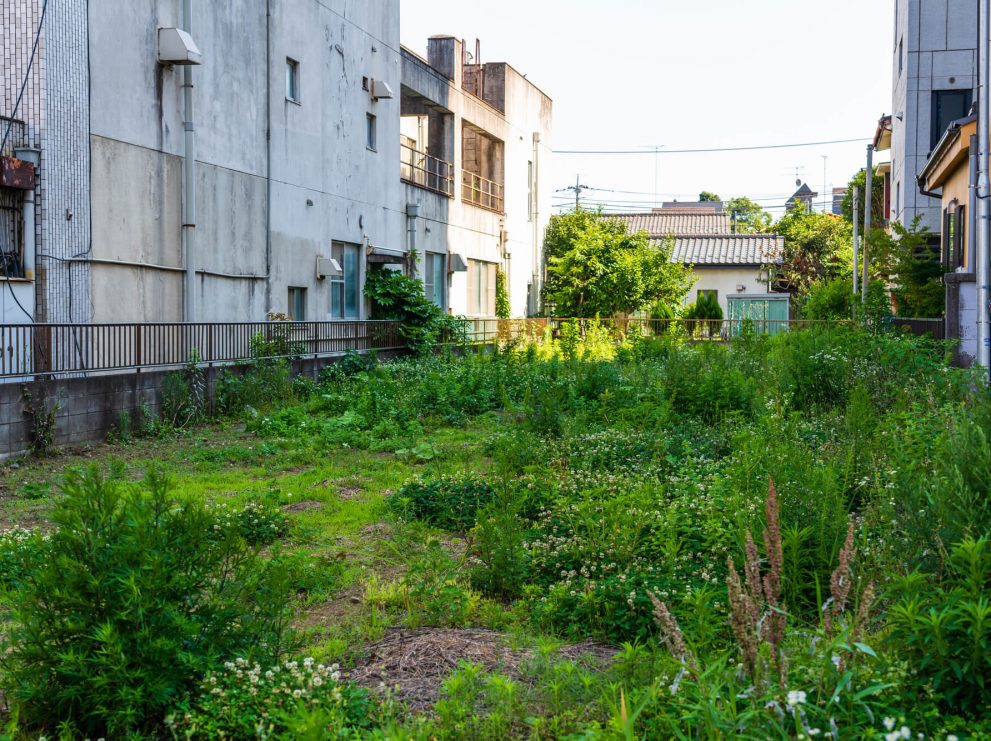 いらない土地を国に返す相続土地国庫帰属制度が新設！注意点はある？