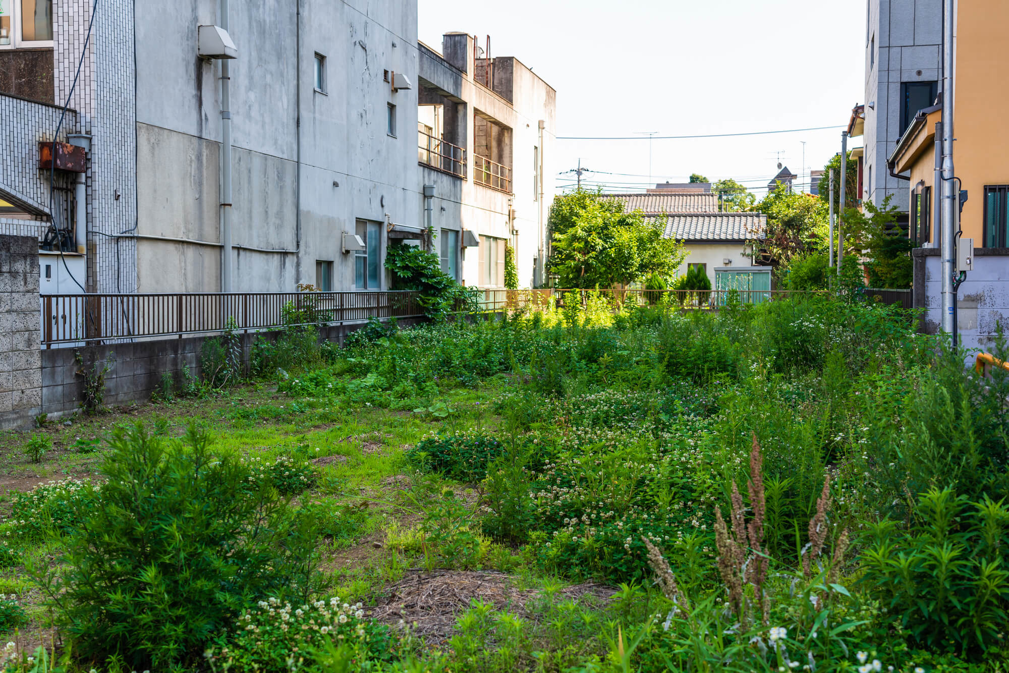 いらない土地を国に返す相続土地国庫帰属制度が新設！注意点はある？