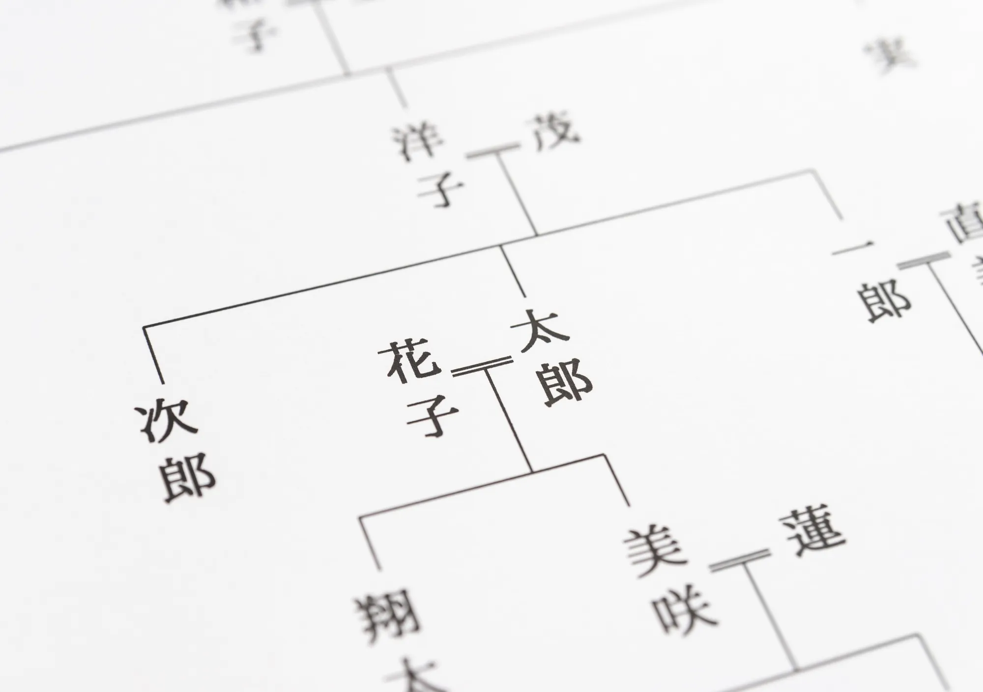 血族について徹底解説｜範囲や親族・姻族との違いについても紹介