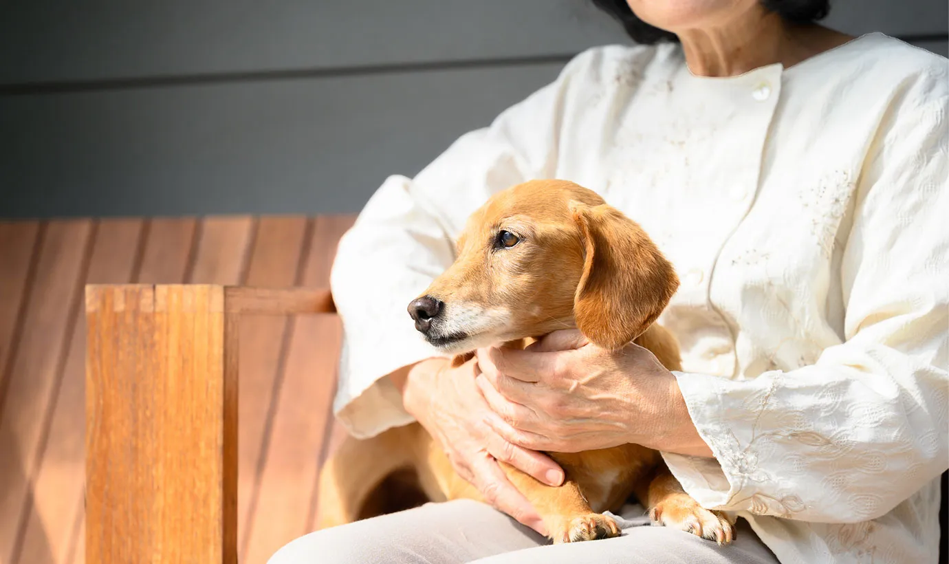 孤独死したらペットはどうなる？一人暮らしの方がしておくべき7つのこと