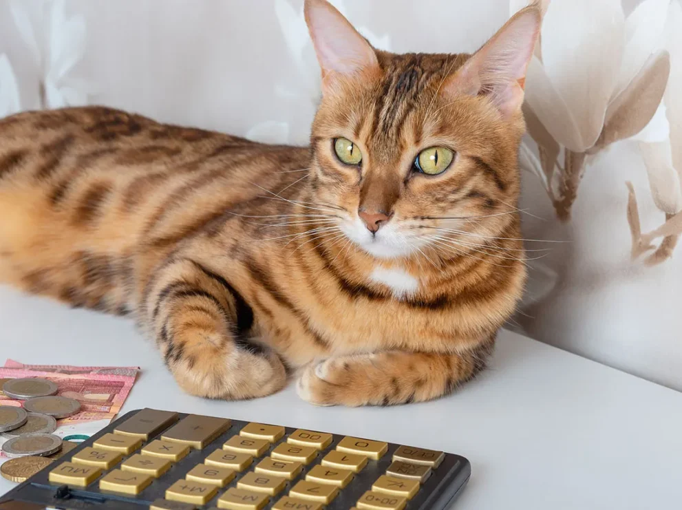飼い主がペットの飼育費用を遺すなら負担付死因贈与がおすすめ