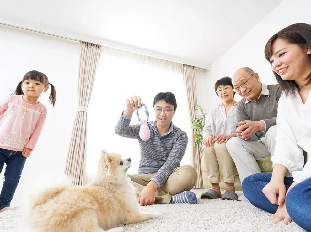 ペットは相続財産に含まれる！遺産相続におけるペットの扱いを解説
