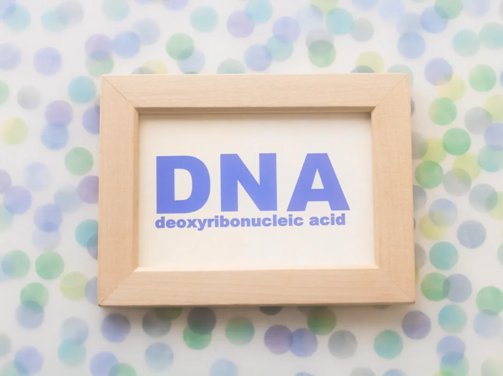 死後認知ではDNA鑑定の結果が必要！申立ての流れや注意点について