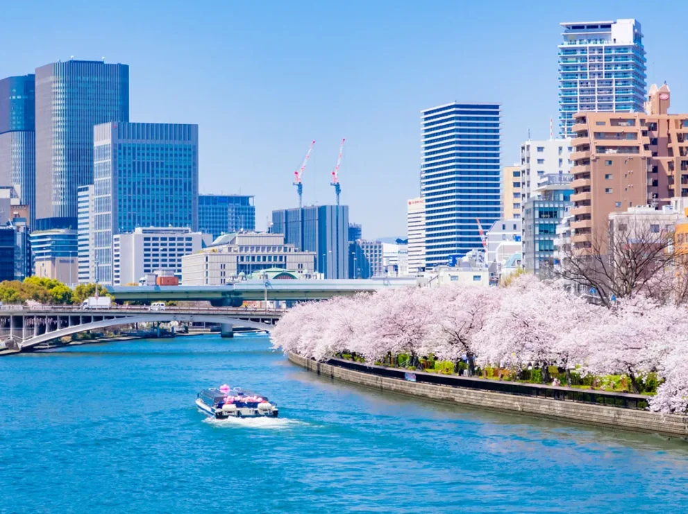 大阪府の相続相談窓口8選｜名義変更・相続税など分野別に解説