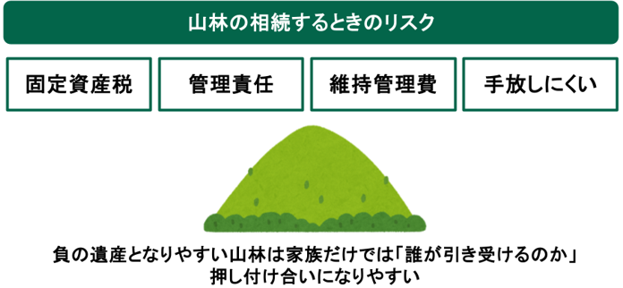 山林を相続するときのリスク