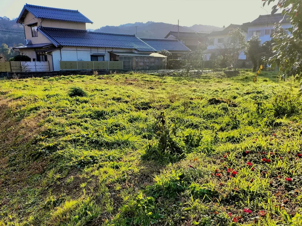 田舎にある空き地の15の活用方法|土地活用前に確認することとは