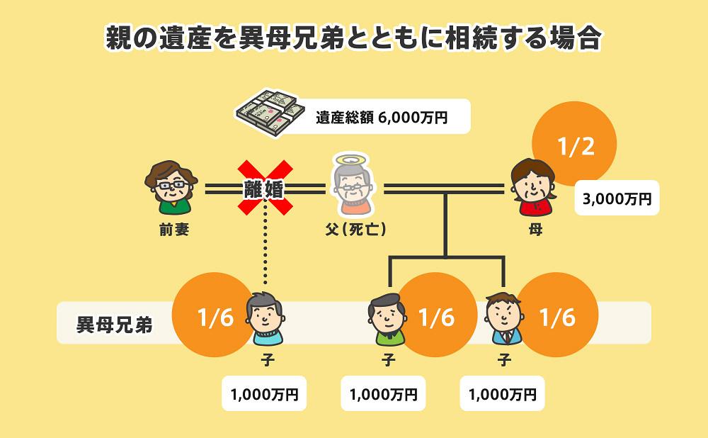 親の遺産を異母兄弟とともに相続する場合の相続割合