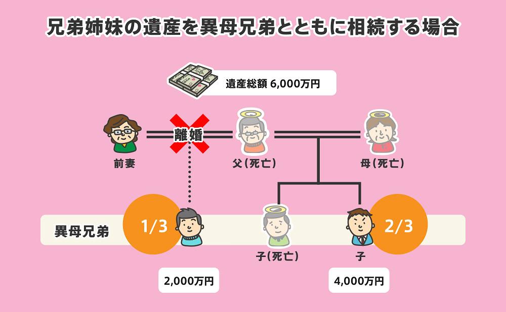 兄弟姉妹の遺産を異母兄弟とともに相続する場合の相続割合