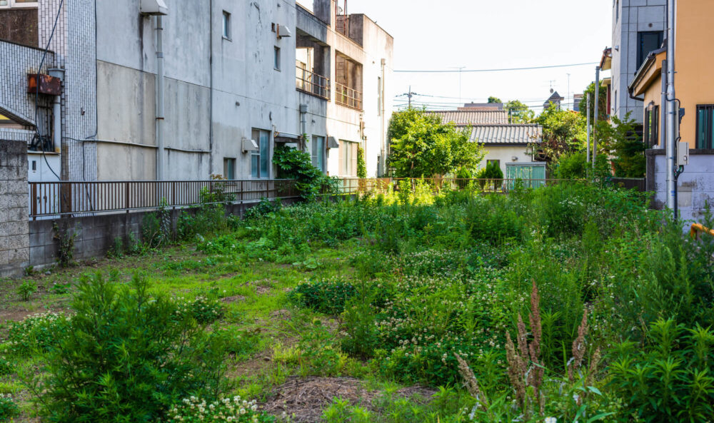 いらない土地を国に返す相続土地国庫帰属制度が新設!注意点はある?