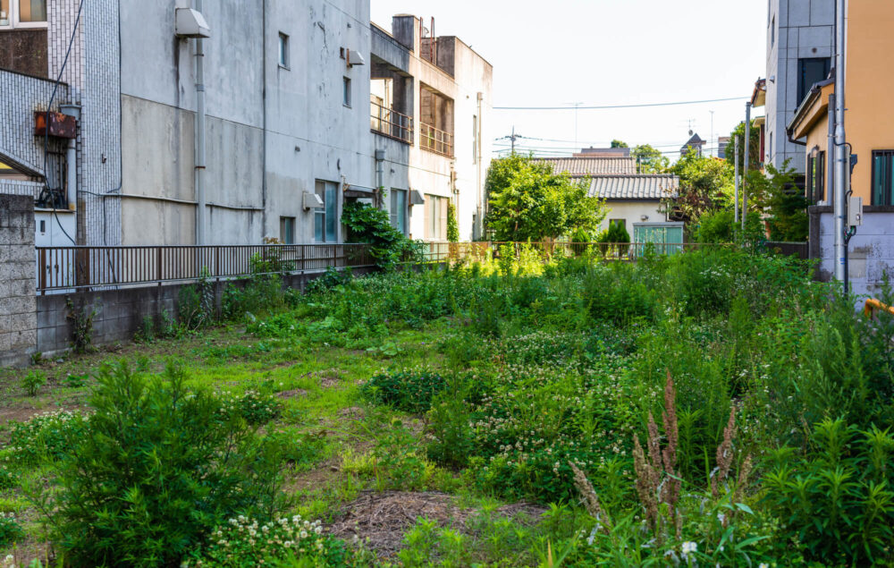 いらない土地を国に返す相続土地国庫帰属制度が新設！注意点はある？