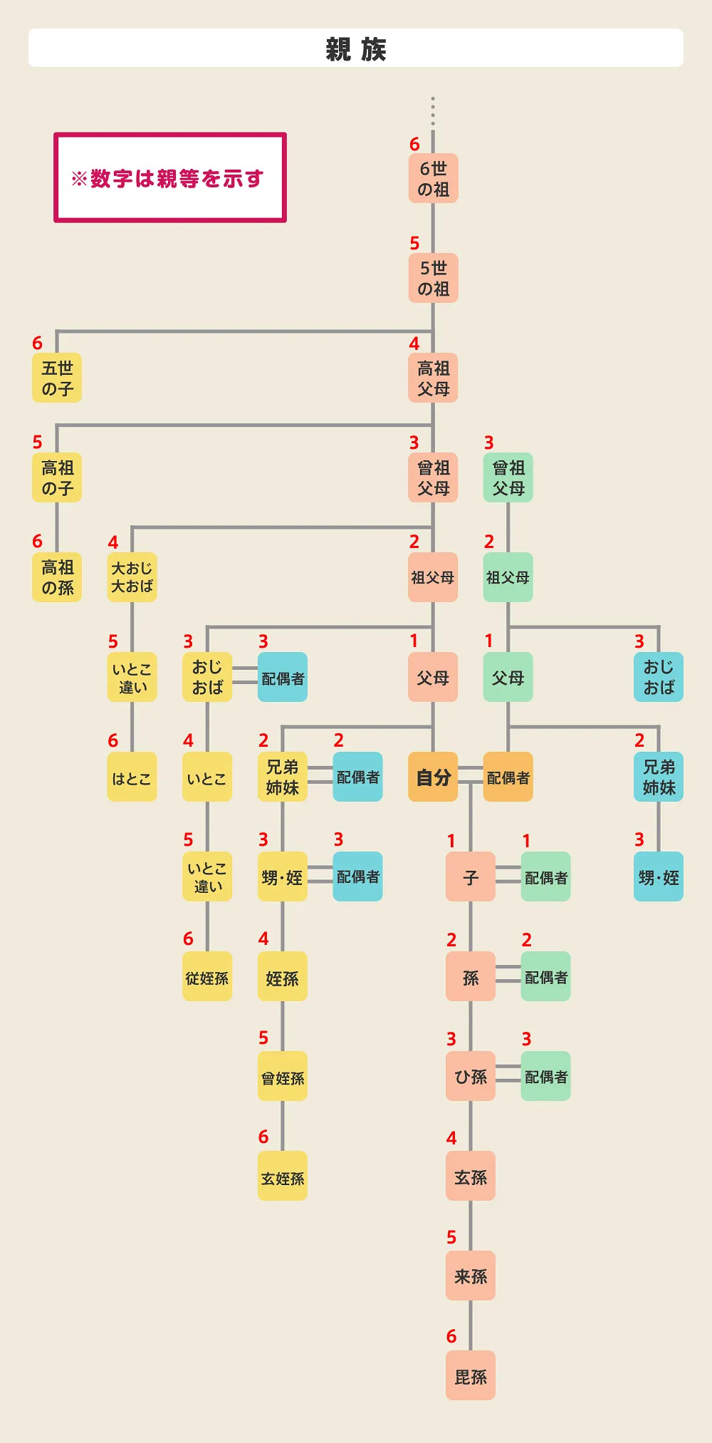 血族の種類、親族