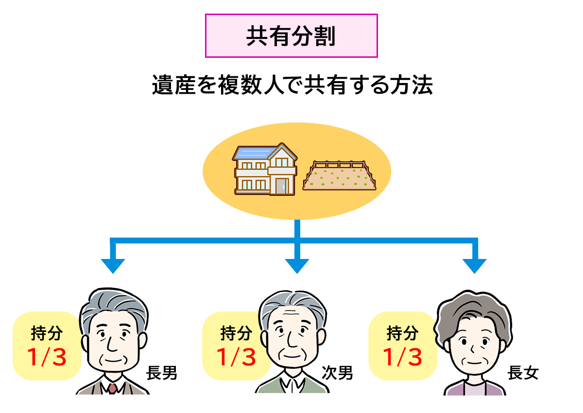 共有分割