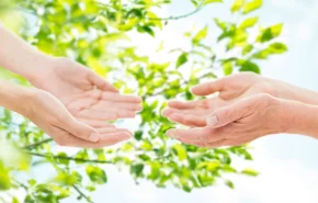 孫への生前贈与で確実に節税する方法と失敗しないための５つの注意点