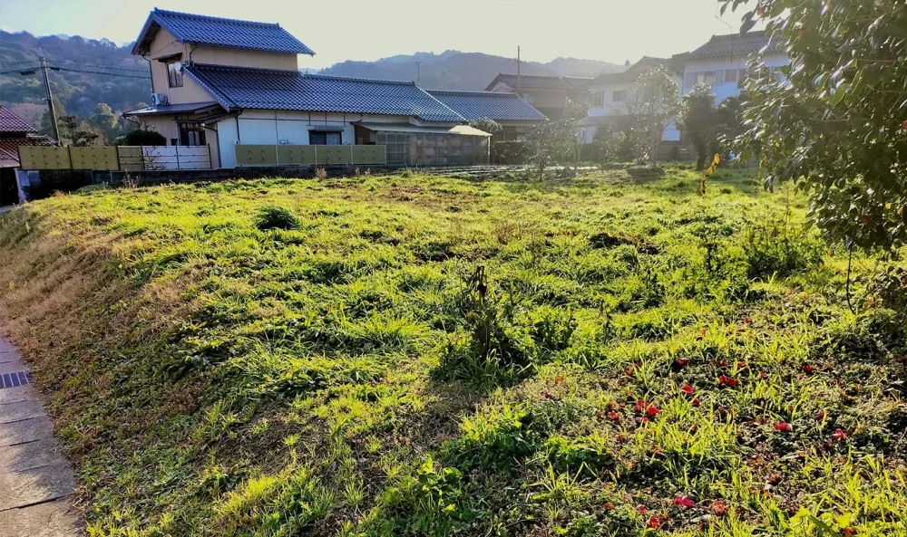 田舎にある空き地の15の活用方法｜土地活用前に確認することとは