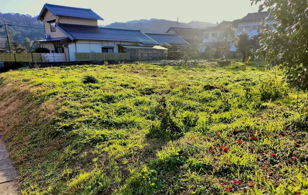 田舎にある空き地の15の活用方法｜土地活用前に確認することとは