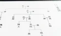法定相続人と相続人の違いとは？法定相続人が遺産を受け継がないケース