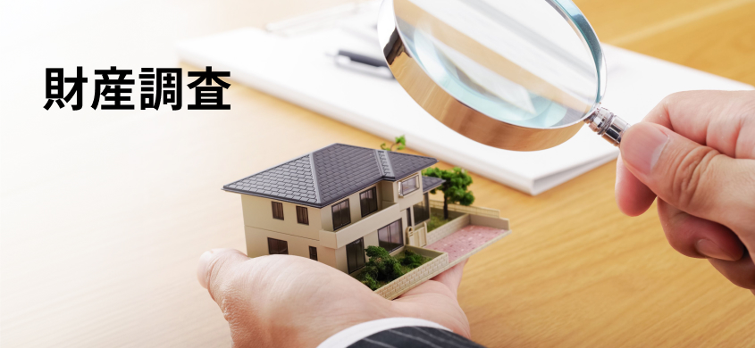 カテゴリー財産調査