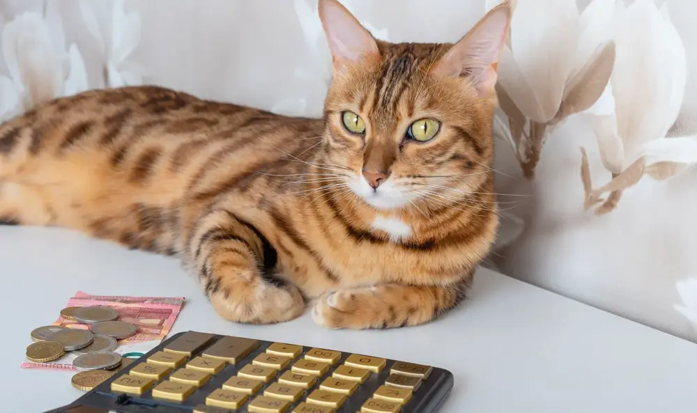 飼い主がペットの飼育費用を遺すなら負担付死因贈与がおすすめ