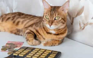 飼い主がペットの飼育費用を遺すなら負担付死因贈与がおすすめ