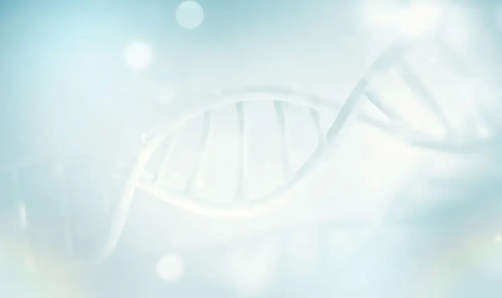 遺体のDNA鑑定をする場合の相続放棄の期限はいつまで?