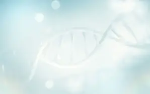 遺体のDNA鑑定をする場合の相続放棄の期限はいつまで？