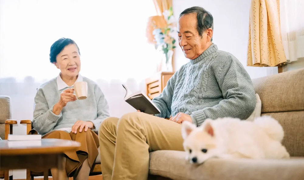 ペットを飼っている人がすべき5つの終活｜事前準備や注意点を解説 