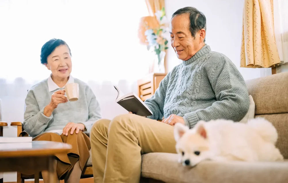 ペットを飼っている人がすべき5つの終活｜事前準備や注意点を解説 