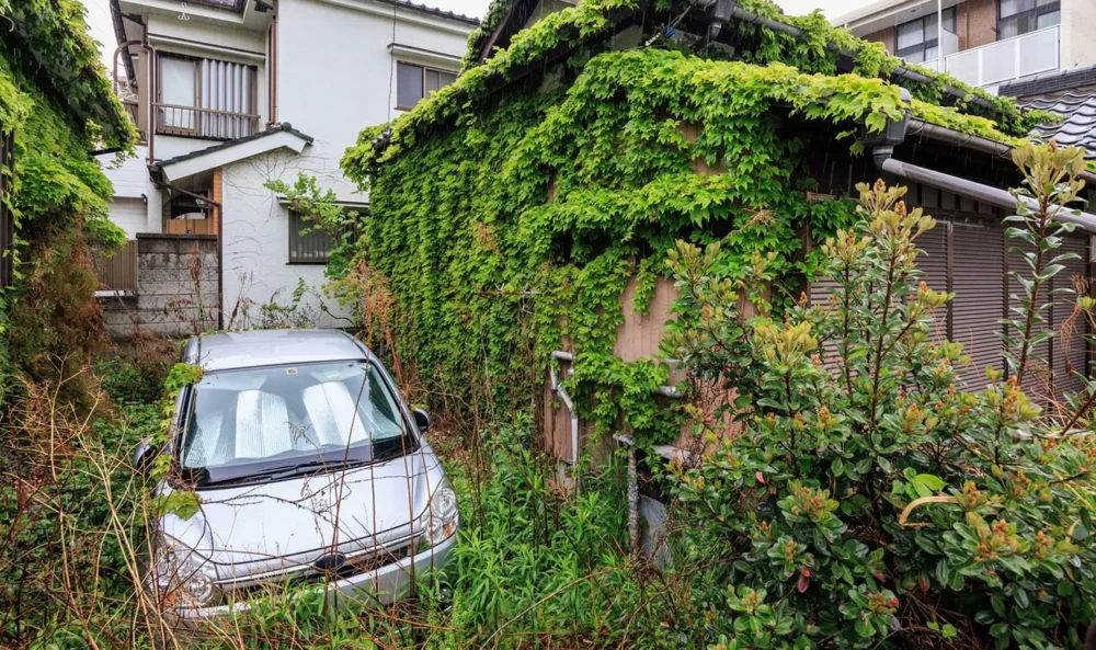 相続人のいない土地はどうなる？相続人がいなくなるケースやすべきこと