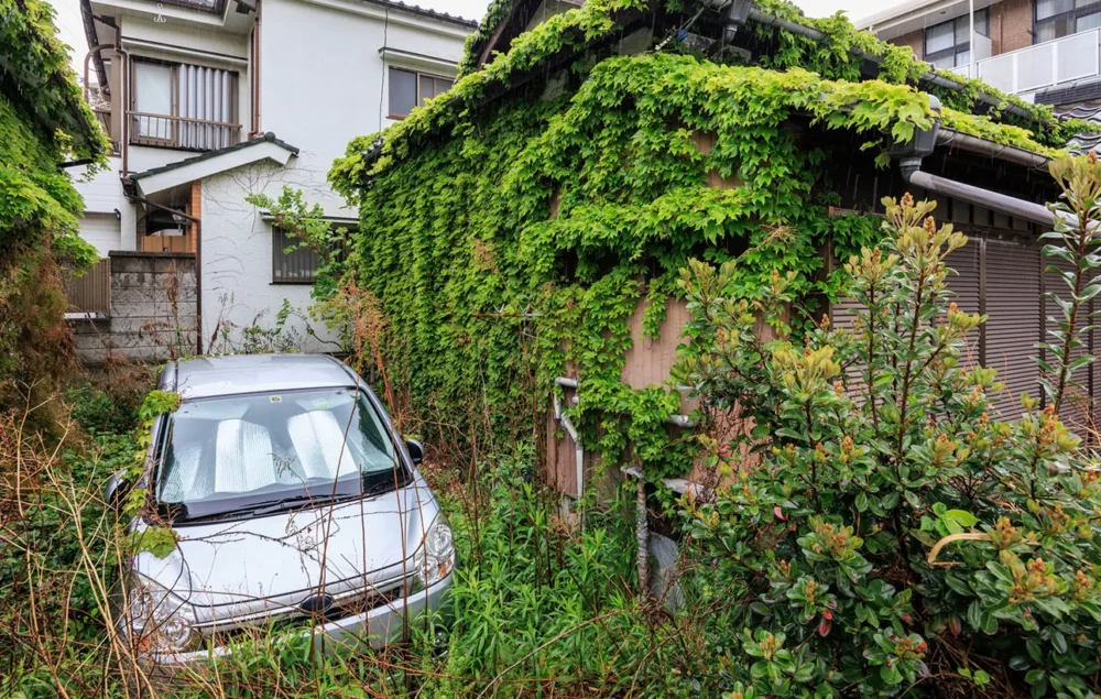相続人のいない土地はどうなる?相続人がいなくなるケースやすべきこと