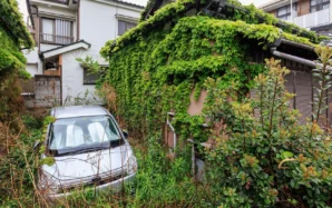 相続人のいない土地はどうなる?相続人がいなくなるケースやすべきこと