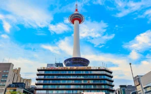 京都府で相続の無料相談先は？｜名義変更・相続税など分野別の窓口8選