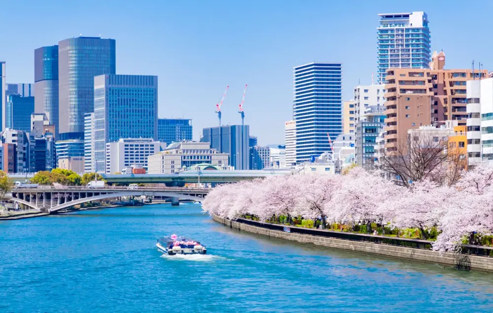 大阪府の相続相談窓口8選｜名義変更・相続税など分野別に解説