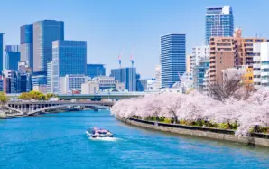 大阪府の相続相談窓口8選｜名義変更・相続税など分野別に解説