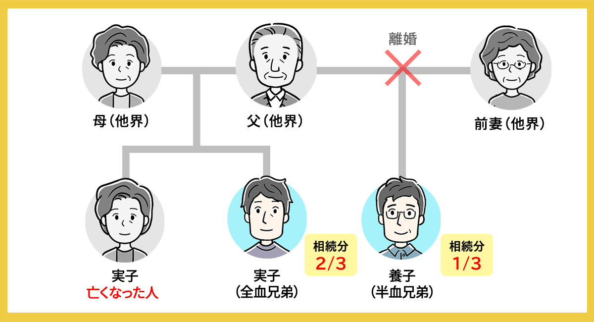 養子が片親のみと養子縁組をしていると半血兄弟として扱われる