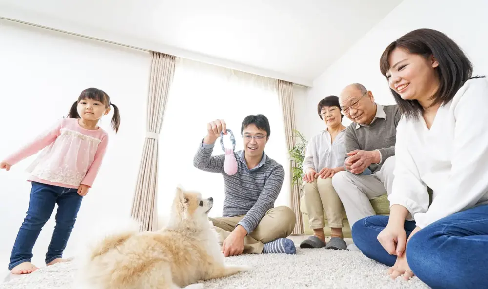 ペットは相続財産に含まれる！遺産相続におけるペットの扱いを解説