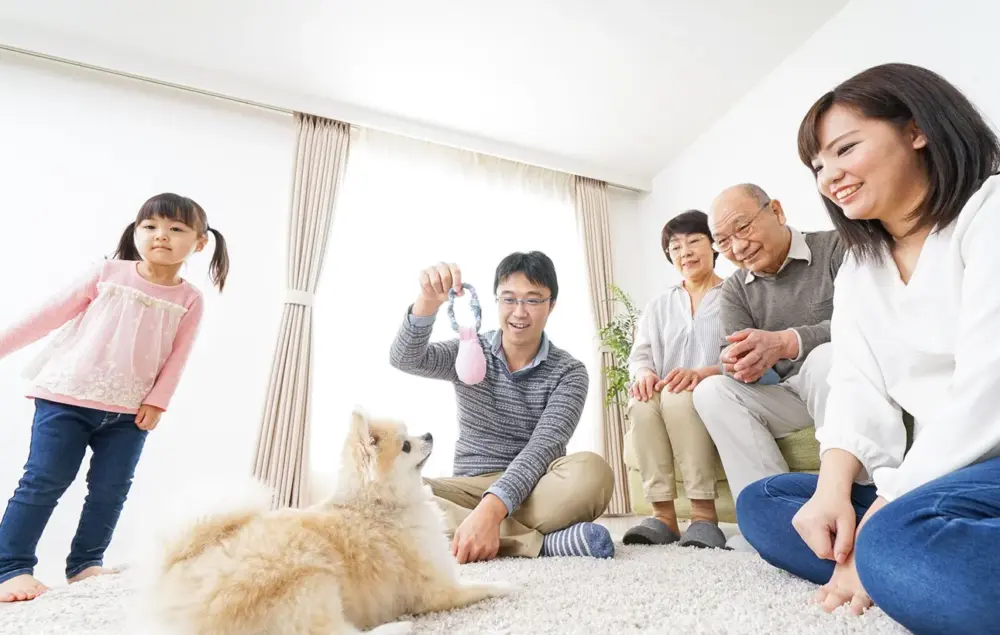ペットは相続財産に含まれる！遺産相続におけるペットの扱いを解説