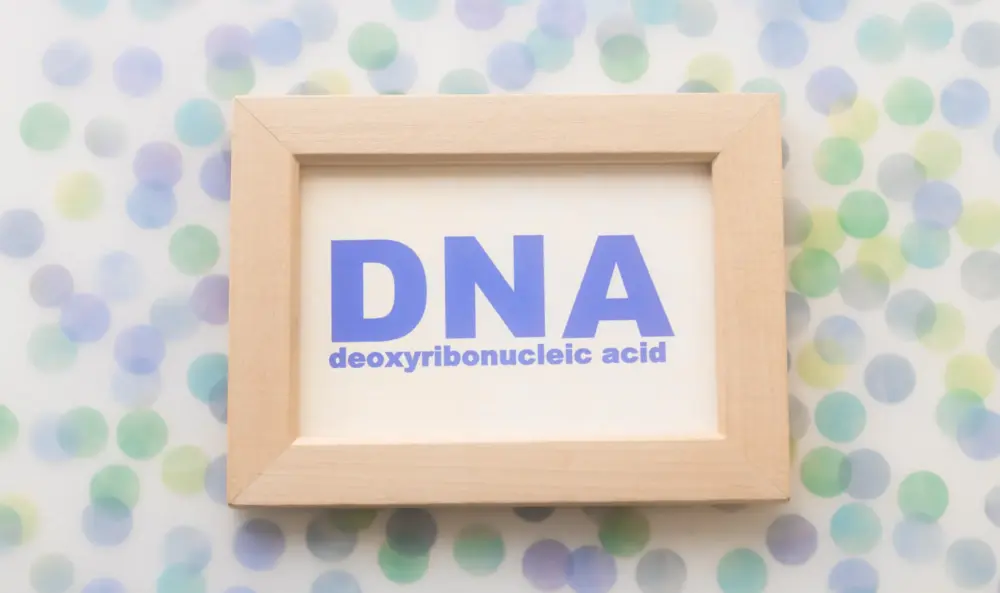 死後認知ではDNA鑑定の結果が必要！申立ての流れや注意点について