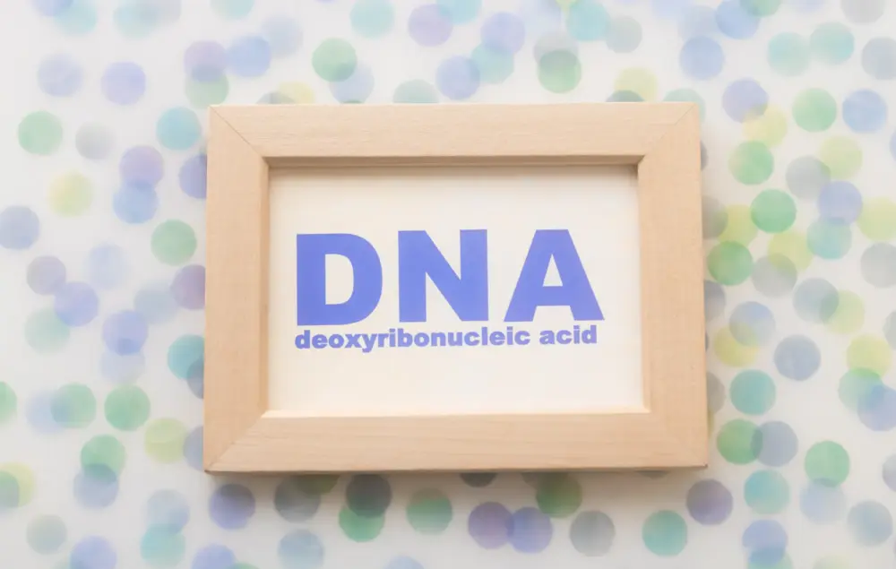 死後認知ではDNA鑑定の結果が必要！申立ての流れや注意点について