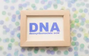 死後認知ではDNA鑑定の結果が必要！申立ての流れや注意点について