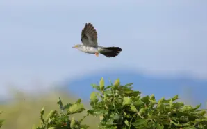 離婚後のDNA鑑定で親子関係がなかったら慰謝料・養育費はどうなる？