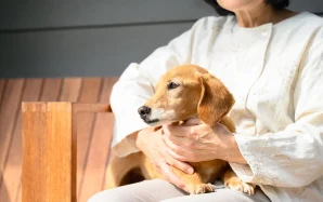 孤独死したらペットはどうなる？一人暮らしの方がしておくべき7つのこと